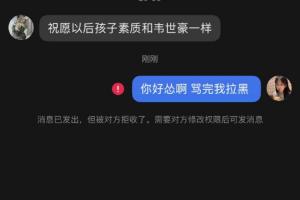 罵完就拉黑！韋世豪妻子曬被私信辱罵截圖