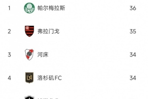 世俱杯球隊犯規(guī)榜：帕爾梅拉斯、弗拉門戈、河床3支南美隊排前三