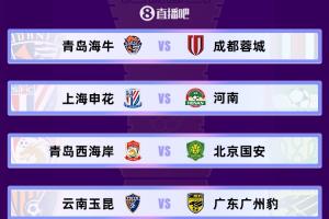 1/4決賽對陣：申花vs河南 海牛vs蓉城 西海岸vs國安 玉昆vs廣州豹