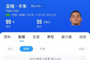 足球報：浙江隊分兩年支付米特里策轉(zhuǎn)會費，將租借K聯(lián)賽銅靴亞格