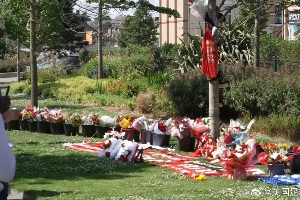 此刻不分彼此???曼聯(lián)、埃弗頓等隊(duì)球迷自發(fā)為若塔送上鮮花圍巾