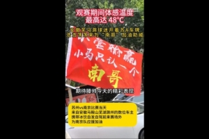 安徽球迷支持南京隊(duì)，網(wǎng)友：蕪馬滁三兄弟永遠(yuǎn)跟著南哥走