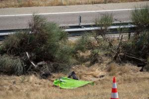 安全第一??若塔車禍公路限速120公里，調(diào)查顯示車速或超140km/h