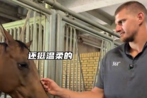 約老師看到馬就滿眼寵溺 與濮老師和于老師暢聊對(duì)馬對(duì)生活的熱愛