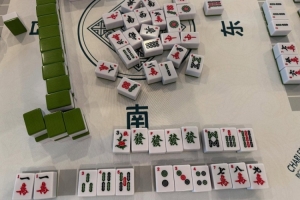 學(xué)習(xí)國粹！瓦妮莎打起了麻將 這麻將還是外國特供版