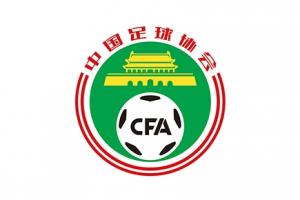中國(guó)足協(xié)黨委召開(kāi)專題會(huì)議 傳達(dá)學(xué)習(xí)全國(guó)足球工作會(huì)議精神