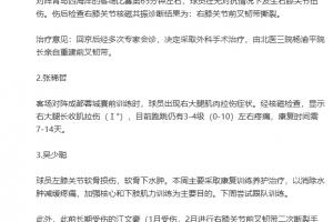 重傷！國安官方：斯帕吉奇右膝前叉韌帶撕裂，將接受前叉韌帶重建
