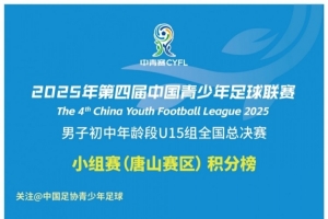 2025年第四屆中青賽男子初中年齡段U15組全國總決賽小組賽積分榜
