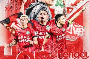 足協(xié)杯 成都蓉城VS河南 8月19日19:35 五糧液文化體育中心足球場(chǎng)