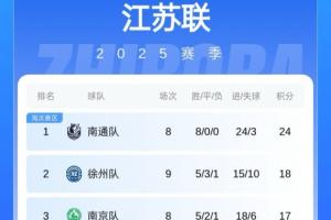 江蘇媒體：“蘇超”主贊助商上半年賺了202億