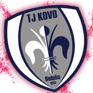 TJ賈科維斯